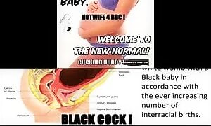 BLACK NEW WORLD ORDER ! BNWO !