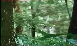 Gator Bait II