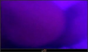 Omegle Ebony Les Girl Show Ass