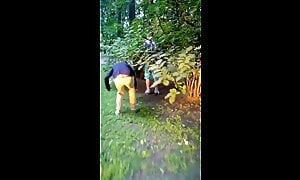 Anal cautery [ 203 footage]