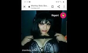 Monkey.cool