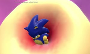 Amy's Anal Accuracy