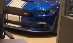 Mustang - video 2