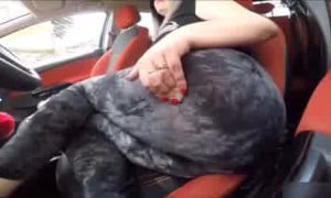 Debbie car farts