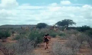 Tarzan X - Shame of Jane(1995)