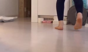 Crab fart