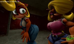 Bandicoot Gas