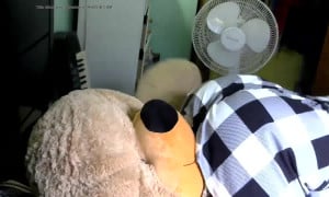 Fart on stuffed animal 2