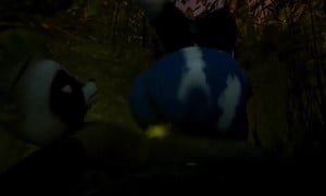 Farting women - VoreTube