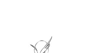 Gardivor