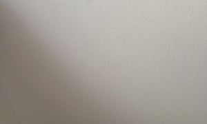 Farts - video 6