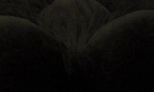 Demon analvore