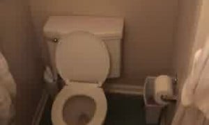 Sexy Toilet Trips - video 2