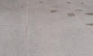 Catch at lowes 2
