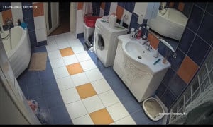 Woman in Toilet 421
