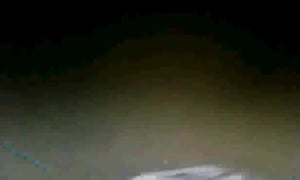 Omegle Worm 271 / White Mix