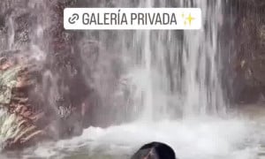 Anablanco - New nude video porn