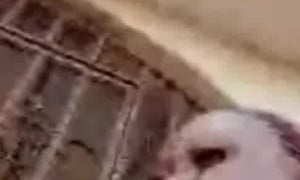 Ebony milf making me cum