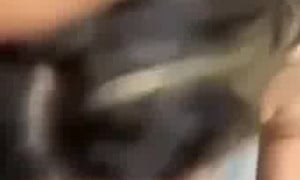 Ximena Saenz - New Video Blowjob/HOT!