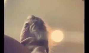 Valentina Midget  porn - Stand fucking with a dildo