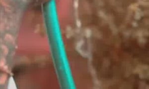 Grecia Gonzalez Show Off Perfect BOOBS Behide this Wet Bra - 0nlyF Video Video