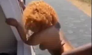 Icespice Sex with a Stranger Outdoor - Hidden Camera