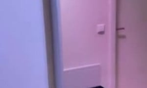 Alexisshv  porn - panties down show off pussy rubbing
