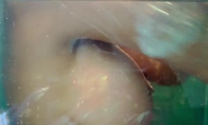 Missmiafit  porn - Nude shower Show off big tits