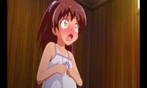 Ichinen Buri no The Animation