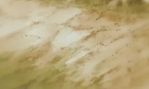 Samurai XXX Episode 1