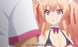Hyakkiya Tantei Jimusho: Hyakkiya Hikari no Youkai Jikenbo Episode 2