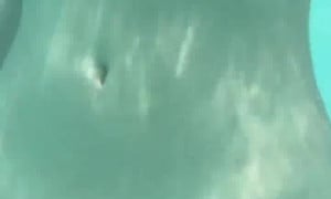Catsara show porn Underwater -video porn