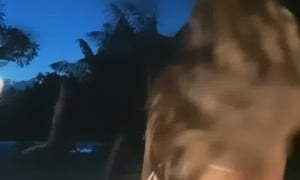 Lyna Perez - New nude video porn