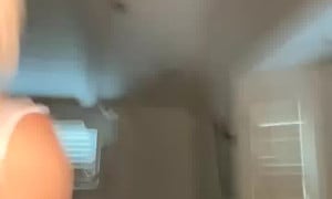 Lindsey Pelas 28th July Livestream  