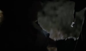 Eszter Csépai Strangled & Molested