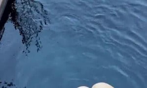 ScarlettKissesXO Poolside Sextape  