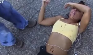 Road Kill