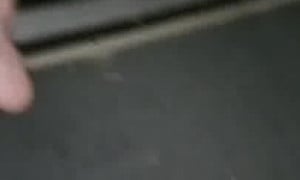 Exposed public cunt