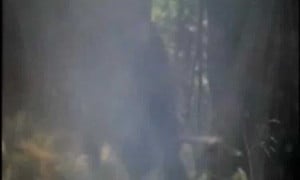 Cannibal Holocaust (1980) IMDB tt0078935