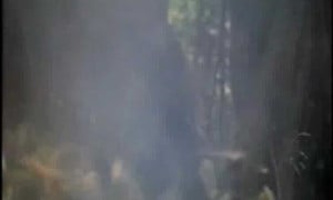 Cannibal Holocaust (1980) IMDB tt0078935