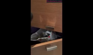 Isla Moon - Hide and Seek with Vibrator