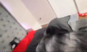Ashley Serrano Cumshot on Face Orgasm - HOT Sex tape 