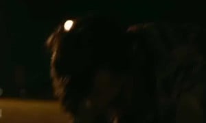 Ibi Stoving. Ra Scene