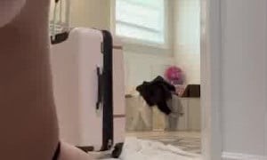 Erika Calabrese/Airikacal Video Hot