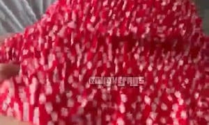 Andrea Rojo Doggy Style [ Sextape ] HOT