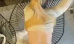 Grace Charis Hot - [Sex.Tape] f.ucking doggystyle