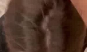 Unmissabl sex.tape blowjob with BF