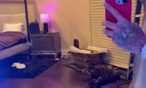 island boys  Videos HOT Sextape - Blowjob