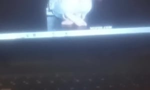 Busting A Nut 2 Kapri Styles (Cum Tribute)
