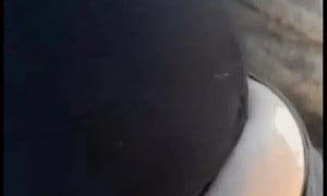 Girl farting on live